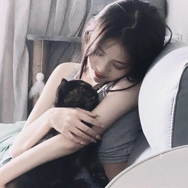 动画综艺