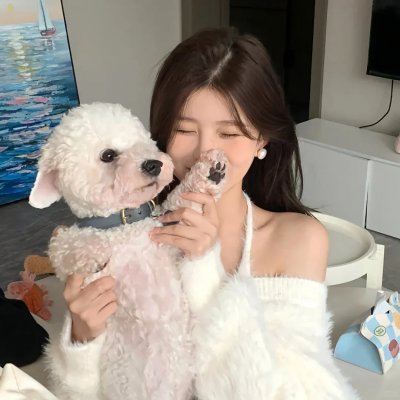 监察局长